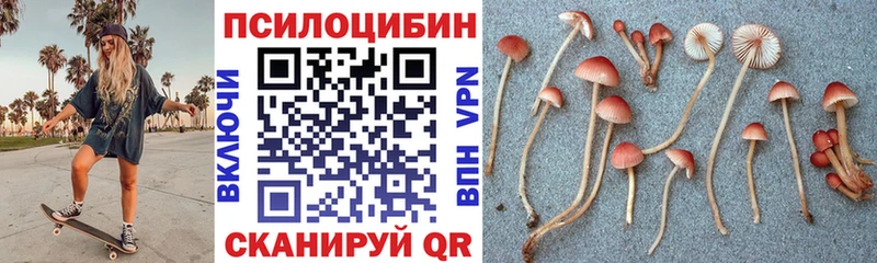 Галлюциногенные грибы Cubensis  Алапаевск 